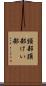 頸部 Scroll