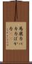 馬鹿力 Scroll