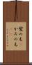 髪の毛(P) Scroll