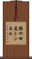鵜の田尾トンネル Scroll