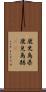 鹿児島県 Scroll