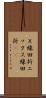 Ｘ線回折 Scroll