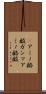 γアミノ酪酸 Scroll