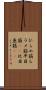 ひらめ筋 Scroll