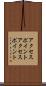 アクセスポイント Scroll