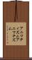 アニマティズム Scroll