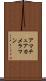 アマチュア・カメラマン Scroll