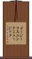 イージーリスニングミュージック Scroll