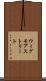 ウィグモアストリート Scroll