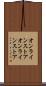 オンラインストア Scroll