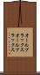 オールブラックス Scroll