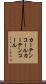 カーテンコール Scroll