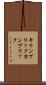 キャンブリック Scroll