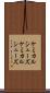 ケミカルシューズ Scroll