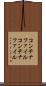 コンテナファイル Scroll