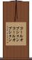 コールオプション Scroll