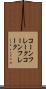 コーンフレーク Scroll