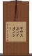 サウスエンドオンシー Scroll