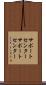 サポートセンター Scroll
