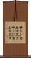 サージカルマスク Scroll