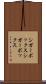 シガーボックス Scroll