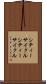 シティーサイクル Scroll