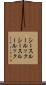 シースルールック Scroll