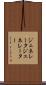 ジェネレータ Scroll