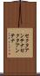 セクタアンテナ Scroll