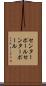 センターポール Scroll