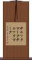 チェックマーク Scroll