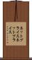 ネットプライス Scroll