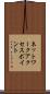 ネットワーク・アクセス・ポイント Scroll