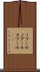 ノワール Scroll