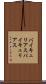 バイキュリアス Scroll