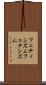 フェティシズム Scroll