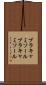 ブラキャミソール Scroll