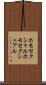ホモセクシャル Scroll