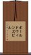 ボールドウィンズビル Scroll