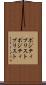 ポジティブリスト Scroll