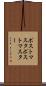 ポストマスタ Scroll