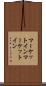 マーケットイン Scroll