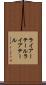 ライアーテール Scroll