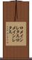 ロメインレタス Scroll