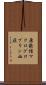 原発性マクログロブリン血症 Scroll