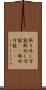 取り外し可能 Scroll