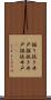 掘り抜き井戸 Scroll