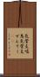 気管支喘息 Scroll