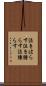 泣きはらす Scroll