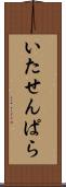 いたせんぱら Scroll